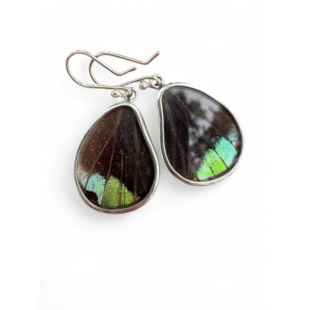 Butterfly Wing Solid 925 Sterling Silver Earrings